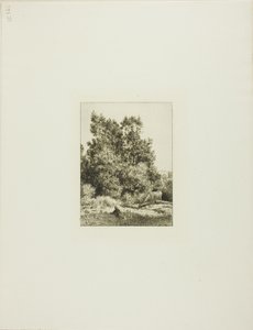 Paesaggio con mandriano