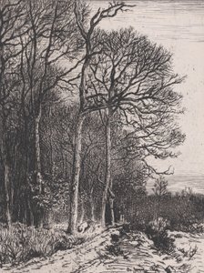 Lisière du Bois, 1846