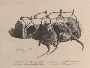 Trappola per topi, 1860