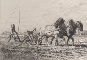 Aratura, 1864