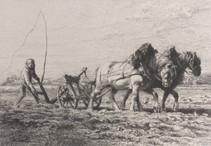 Aratura, 1864