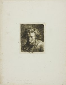 Ritratto dell