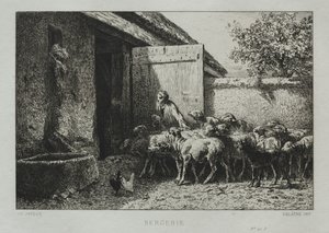 Ovile