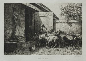 Recinto per pecore