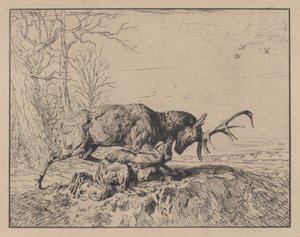 Cervo che combatte un lupo, dopo Antoine Louis Barye, 1846 da Charles Emile Jacque