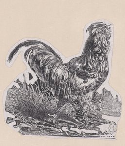 Il gallo, ca. 1853 da Charles Emile Jacque