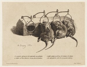 La trappola per topi