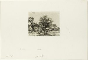 Alberi e mucche vicino a uno stagno