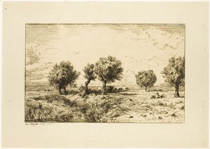 Salici in un Paesaggio