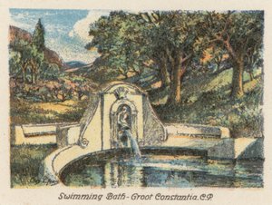 Sudafrica: Piscina, Groot Constantia, CP