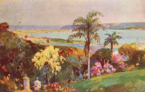 Il porto di Natal, Durban (litografia a colori)