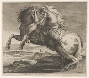 Cavalli Poulonnois da Charles Errard le fils