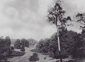 Parco di Knole da Charles Essenhigh Corke