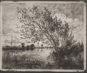Un gruppo di ontani, impressione originale