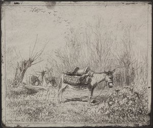 Un Asino nel Campo da Charles Francois Daubigny