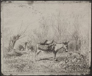 Un asino nel campo, impressione originale 1862, stampata nel 1921 da Charles Francois Daubigny