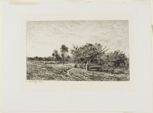 Meli ad Auvers da Charles Francois Daubigny