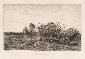 Meli ad Auvers, 1877