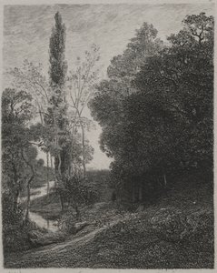 Sponde del Fiume Cousin, 1850 da Charles Francois Daubigny