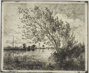 Gruppo di alberi di ontano da Charles Francois Daubigny