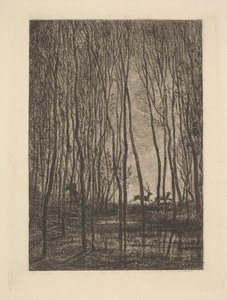 Cervo nei boschi, 1850 da Charles Francois Daubigny