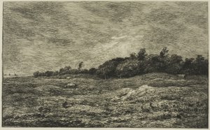 Le Prè des Graves a Villerville (Calvados)