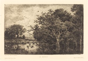 Palude (Le Marais) da Charles Francois Daubigny