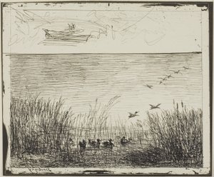 Palude con anatre da Charles Francois Daubigny