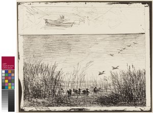 Palude con anatre, 1862 da Charles Francois Daubigny
