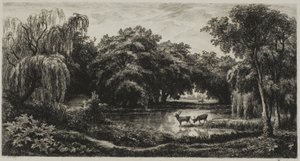 Palude con cervi da Charles Francois Daubigny