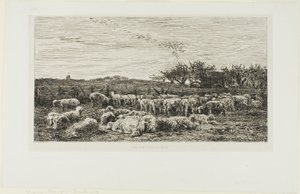 Prato con pecore da Charles Francois Daubigny