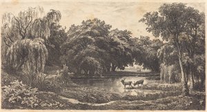 Stagno con Cervi da Charles Francois Daubigny