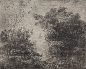 Cervi da Charles Francois Daubigny