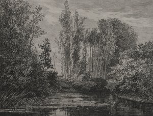 Cervi al bordo dell