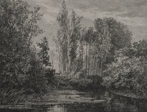 Cervi al bordo dell