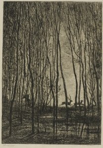 Cervi nel bosco da Charles Francois Daubigny