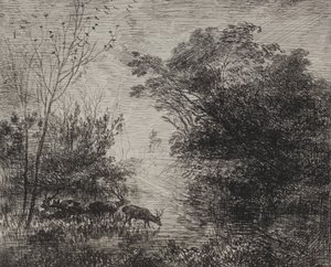 Cervi da Charles Francois Daubigny