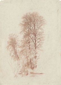 Studio di due alberi slanciati e alcuni più piccoli con foglie da Charles Francois Daubigny