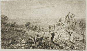 Alba