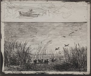 Palude con anatre da Charles Francois Daubigny