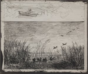 Palude con anatre, impressione originale 1862, stampata nel 1921
