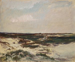 Le dune a Camiers