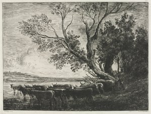 Il guado