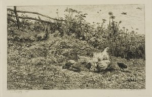 La gallina e i suoi pulcini da Charles Francois Daubigny