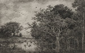 La palude con le cicogne da Charles Francois Daubigny