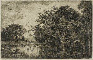 La palude con cicogne da Charles Francois Daubigny