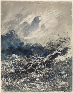 La quercia e la canna, c. 1873 da Charles Francois Daubigny