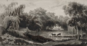 Lo stagno con cervi da Charles Francois Daubigny