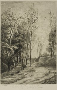 Gli Uccellini