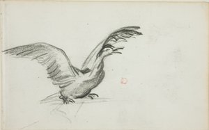 Duetto selvaggio (recto); due figure femminili nude in piedi in nicchie (verso) da Charles Francois Daubigny